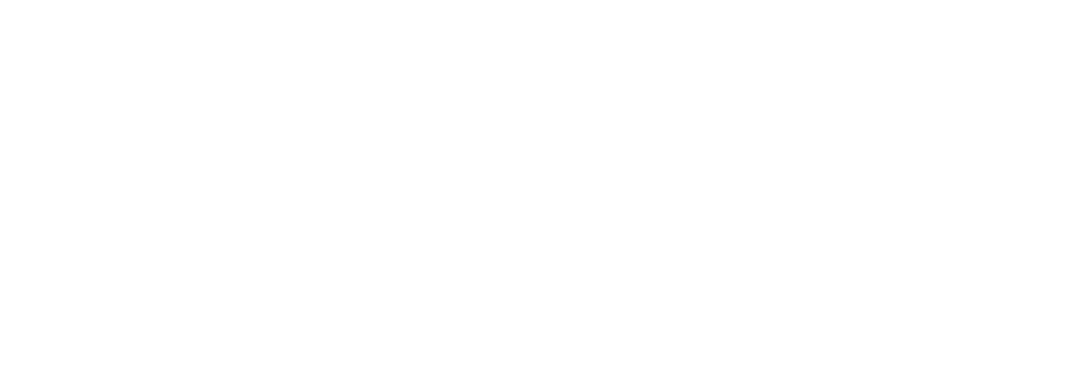  DWS-white.png 