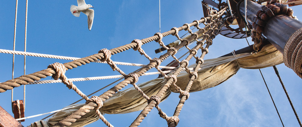 FederatedHermesFeatured