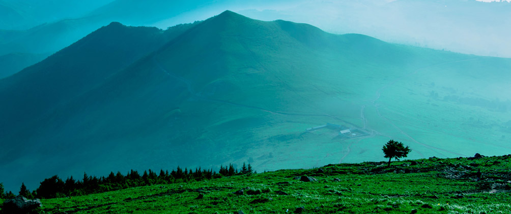 FederatedHermesFeatured