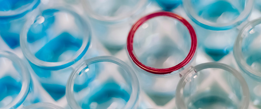 A-New-Dawn-for-Healthcare-Credit