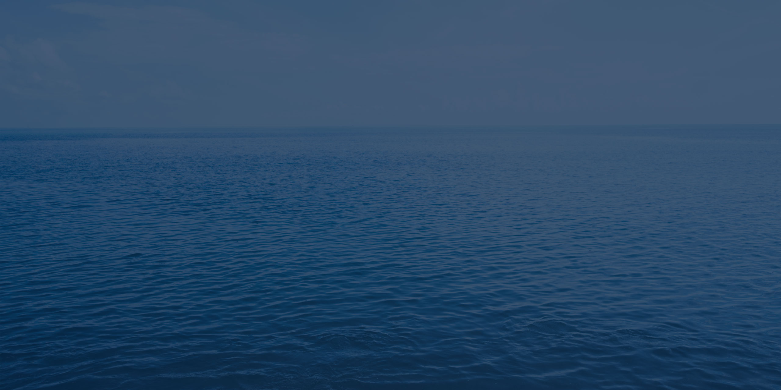 Bayview Asset Management-banner