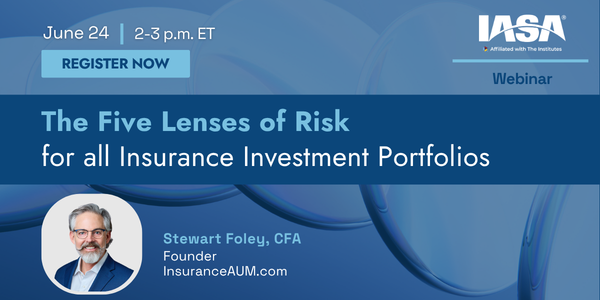 The Five Lenses of Risk for All Insurance Investment Portfolios