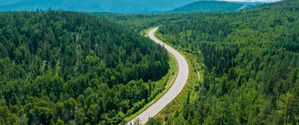 Winding road through a dense green forest with mountains in the distance.
