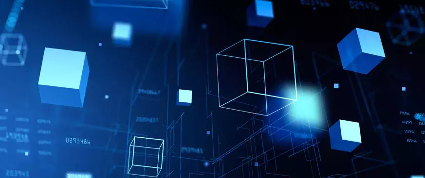 Adams Street Partners