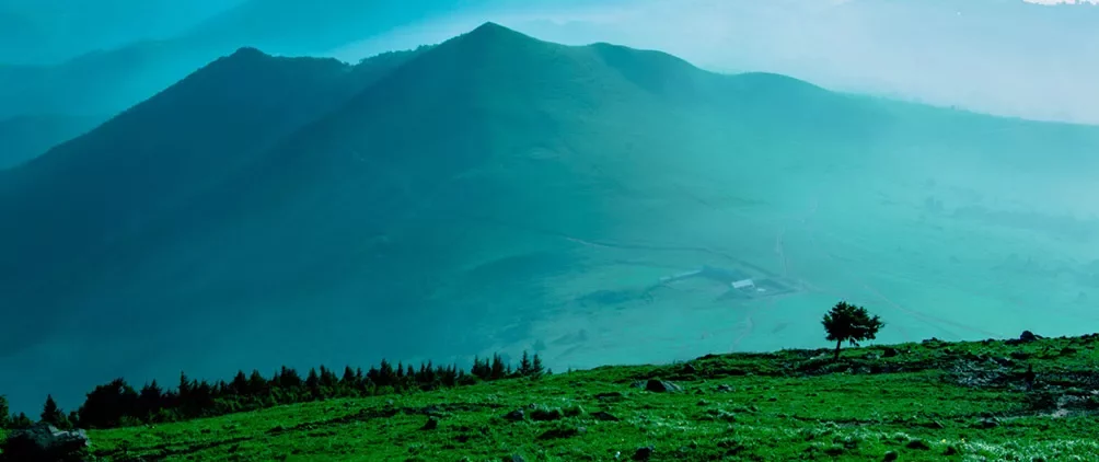 FederatedHermesFeatured