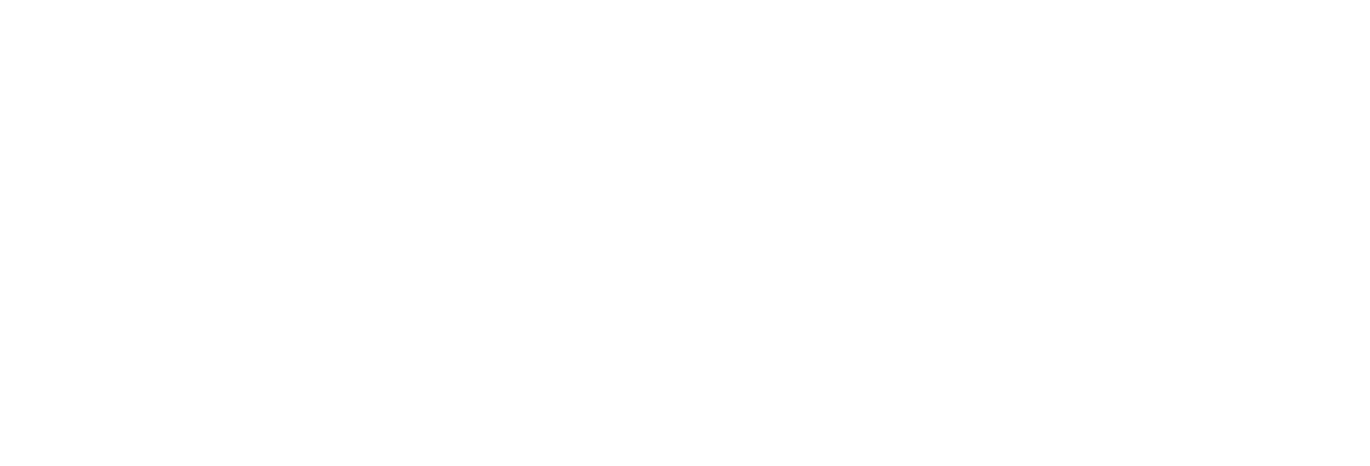 State Street Investment Management logo