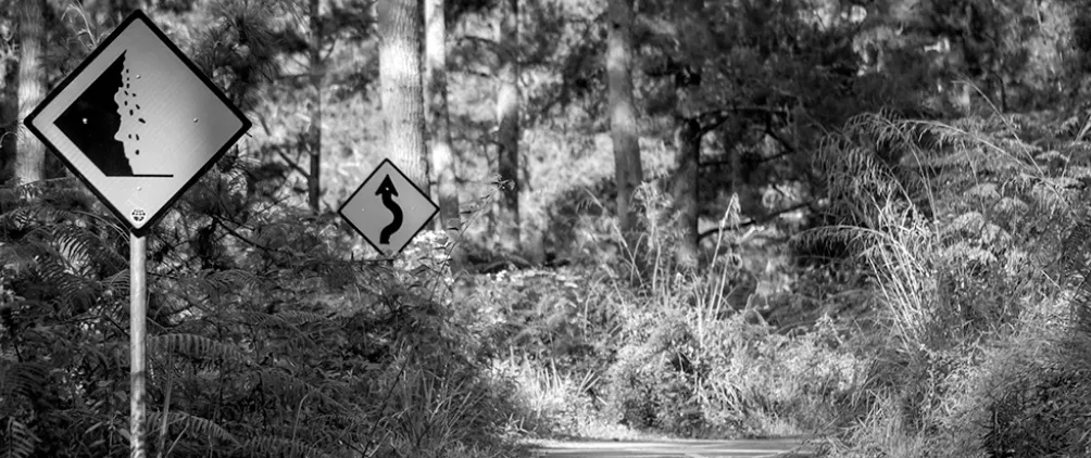 Black-and-white photo of a narrow forest road with two road signs. The closer sign warns of falling rocks, and the sign farther ahead warns of a winding road. Dense trees and tall grass surround the path.
