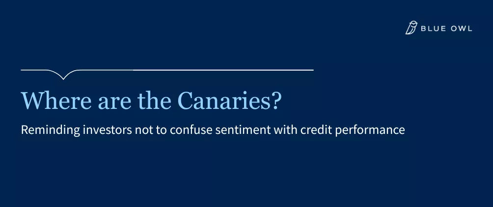 Where are the canaries