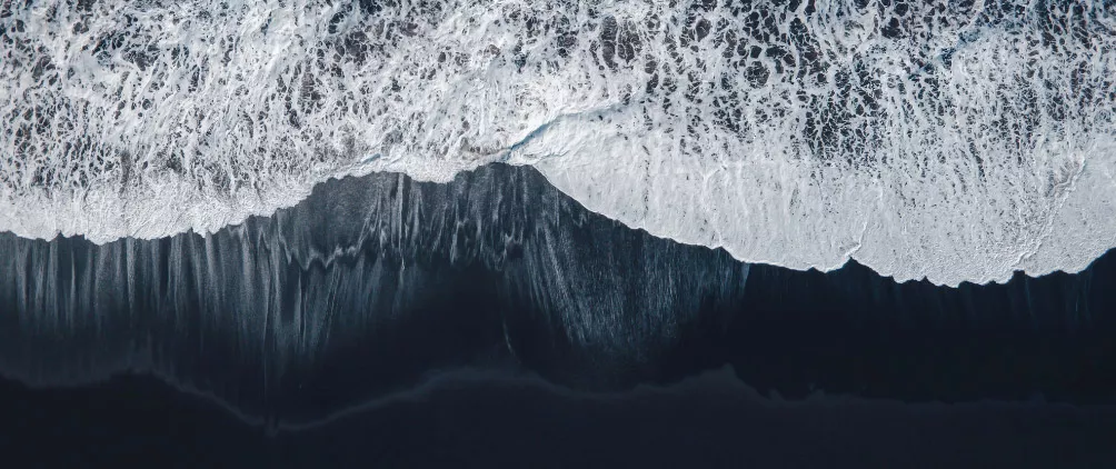 FederatedHermesFeatured