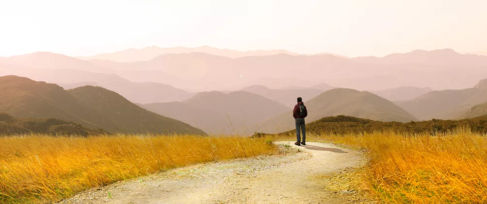 2025-12-17-2026-outlook-1004x422