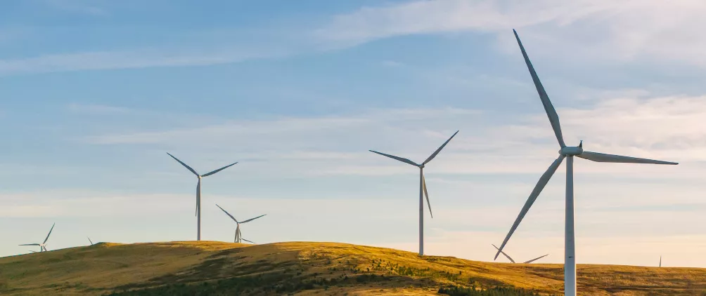 MorganStanleyFeatured